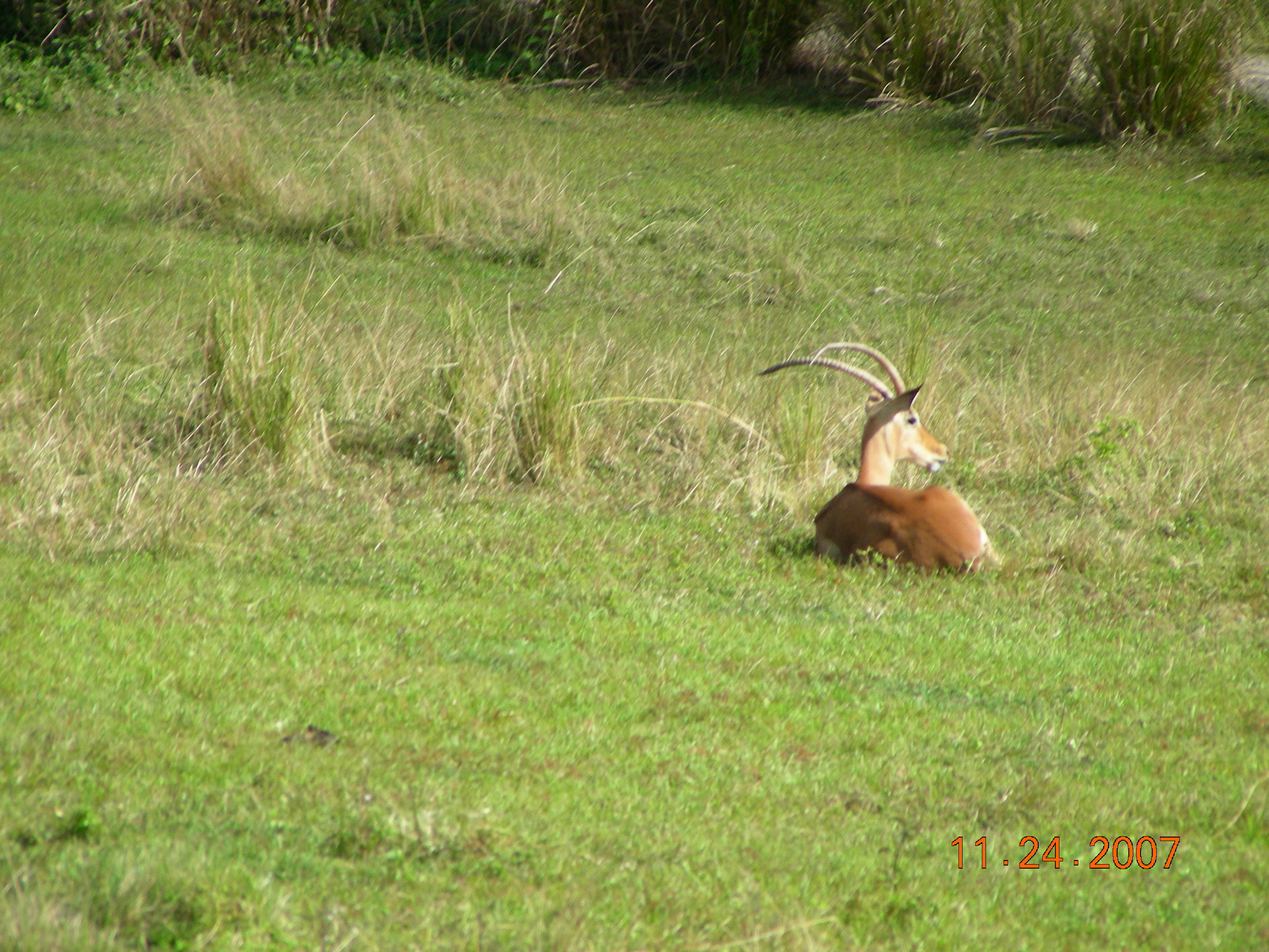 ./2007/Disney World/DSCN1838.JPG